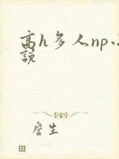 高h多人np小说