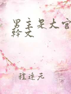 男主是大官的高干文