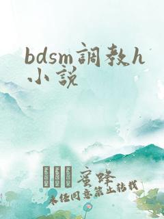 bdsm调教h小说