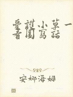 爱护小草一年级看图写话