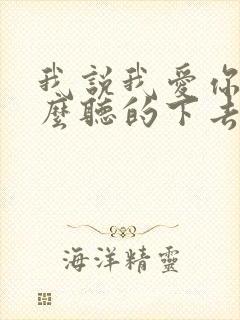 我说我爱你你怎么听的下去什么歌