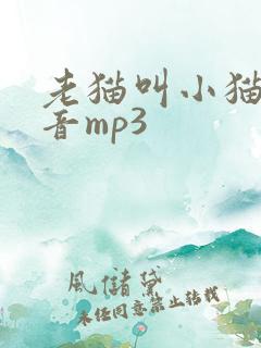 老猫叫小猫的声音mp3