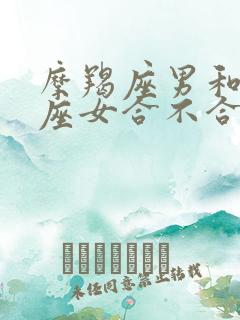 摩羯座男和狮子座女合不合适