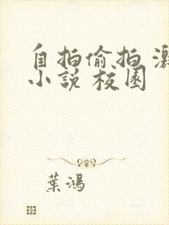 自拍偷拍 激情小说 校园