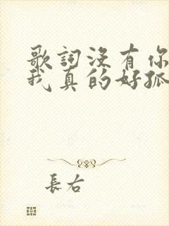 歌词没有你陪伴我真的好孤单原唱