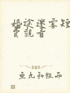 婚途迷雾短剧免费观看