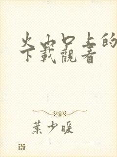 火山口上的两人下载观看