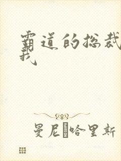 霸道的总裁爱上我