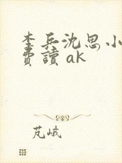 李兵沈思小说免费读 ak
