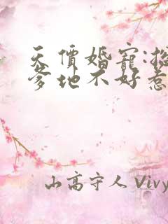 天价婚宠:总裁爹地不好惹