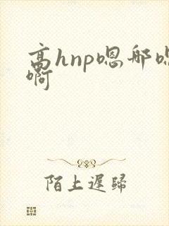 高hnp嗯哪嗯啊