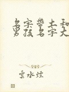 名字带土和金的男孩名字大全