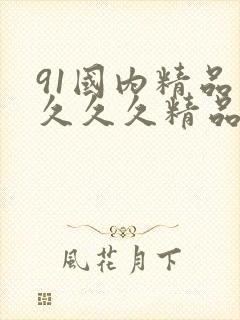 91国内精品久久久久精品一本