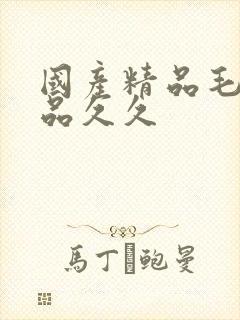 国产精品毛片极品久久