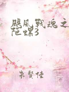 飓风战魂之剑旋陀螺3