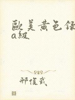 欧美黄色录像aa级