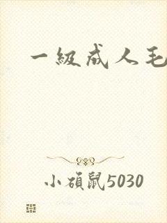 一级成人毛j片
