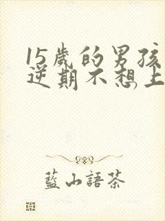 15岁的男孩叛逆期不想上学