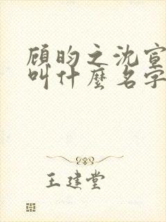 顾昀之沈宣小说叫什么名字