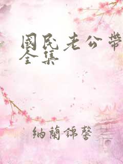 国民老公带回家全集