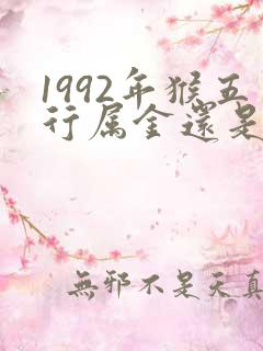 1992年猴五行属金还是水