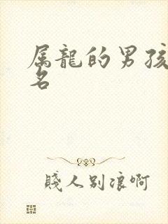 属龙的男孩儿取名