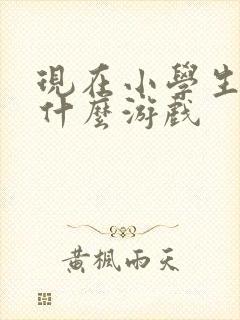 现在小学生都玩什么游戏