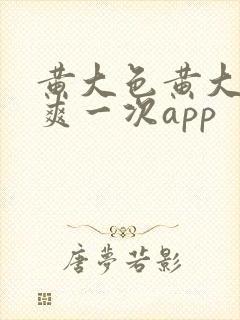 黄大色黄大片女爽一次app