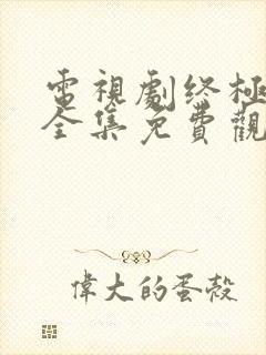 电视剧终极对决全集免费观看