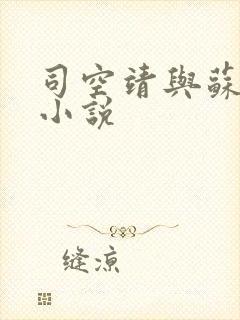 司空靖与苏月汐小说