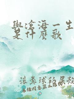 与沧海一生回味是什么歌