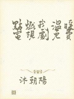 点燃我温暖你你电视剧免费观看