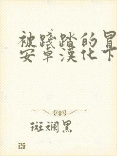 被践踏的冒险家安卓汉化下载