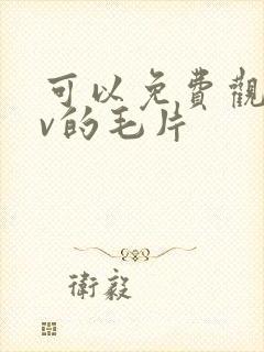 可以免费观看av的毛片