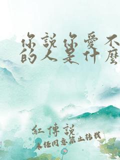 你说你爱不该爱的人是什么歌