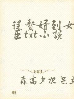 从赘婿到女帝宠臣txt小说