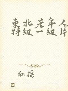 东北老年人黄色特级一级片