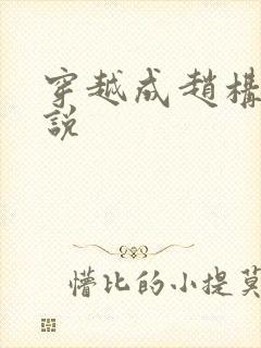 穿越成赵构的小说