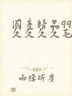 国产精品99久久久久久毛片