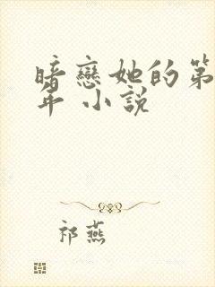 暗恋她的第十一年 小说