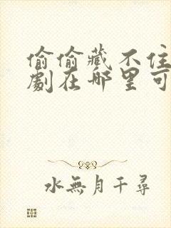 偷偷藏不住电视剧在哪里可以免费看