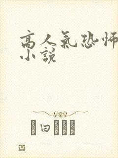 高人气恐怖惊悚小说