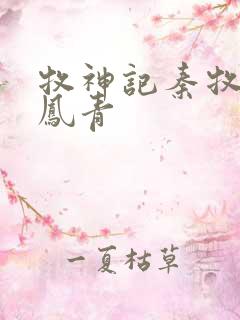 牧神记秦牧和秦凤青