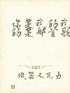 你是我的我是你的是哪首歌的歌词