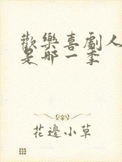 欢乐喜剧人贾玲是哪一季