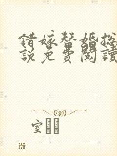 错嫁替婚总裁小说免费阅读