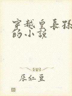 穿越皇长孙李象的小说