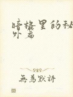 暗格里的秘密番外篇