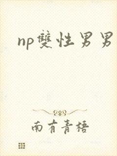 np双性男男h
