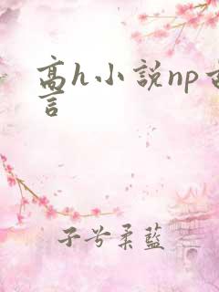 高h小说np古言